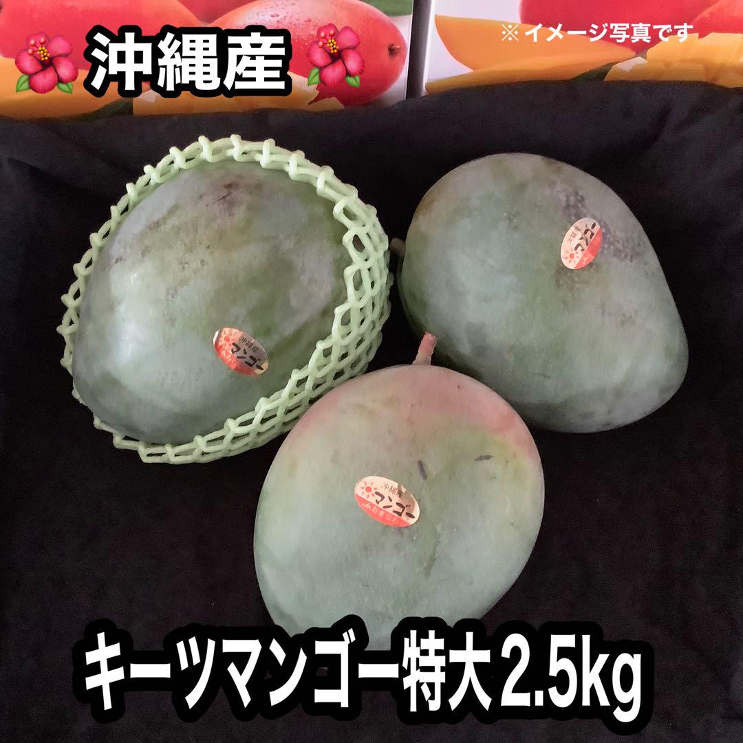沖縄産★キーツマンゴー特大3玉(2.5kg)