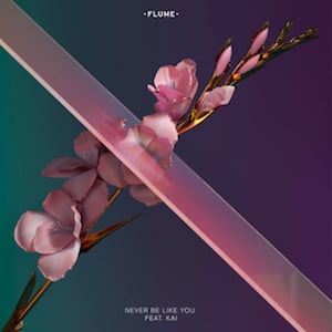 Flume - Never Be Like You feat. Kai