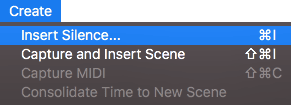 Insert Silence